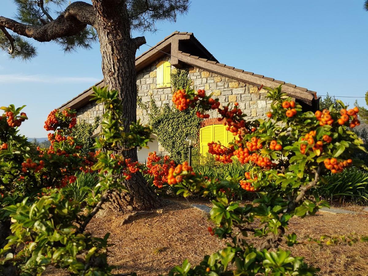 Villa Fior Di Lavanda Cisano sul Neva Ngoại thất bức ảnh
